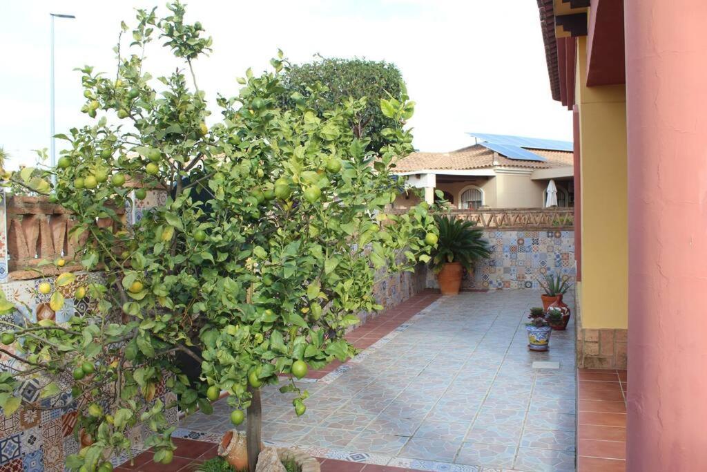 Casa 4 Dormitorios En 아야몬테 외부 사진