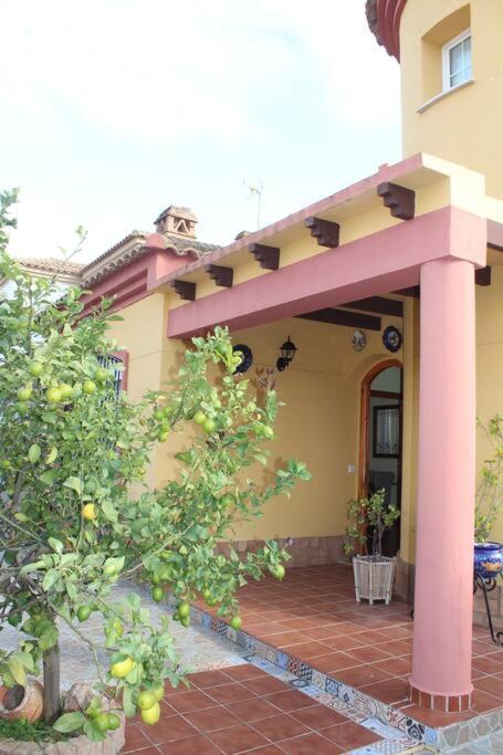 Casa 4 Dormitorios En 아야몬테 외부 사진