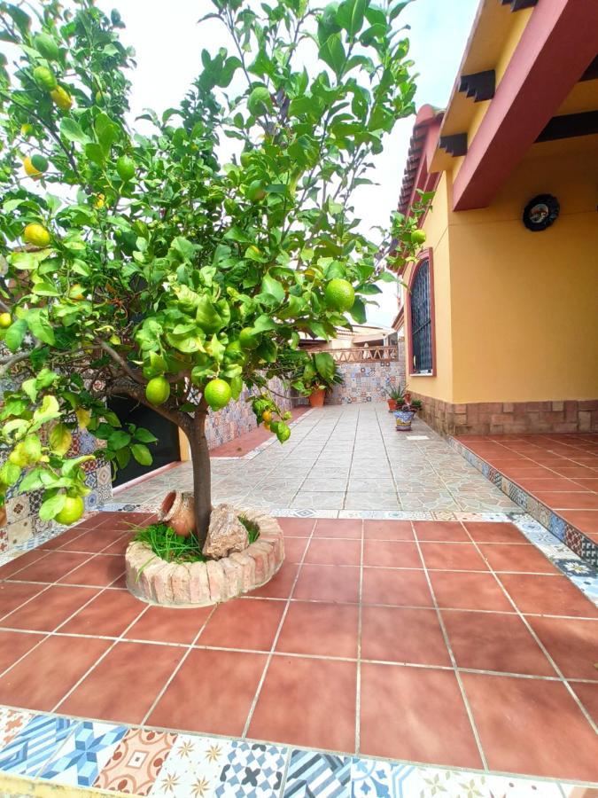 Casa 4 Dormitorios En 아야몬테 외부 사진